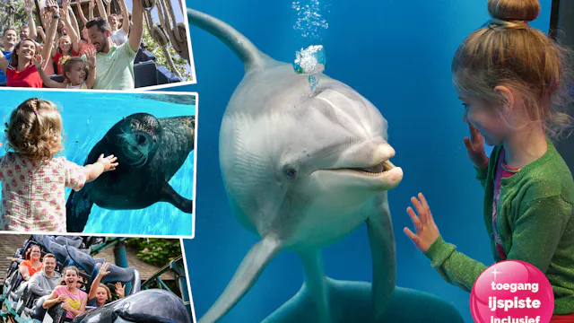 Bezoek Boudewijn Seapark tijdens de herfstvakantie