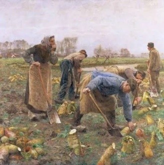 Image for gzbd activity