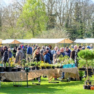 Plantendag voorjaar 2024