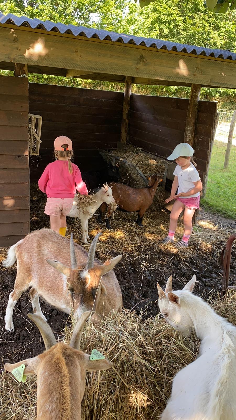 Kinderboerderij Wilrijk