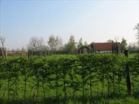 Provinciaal Domein De Averegten