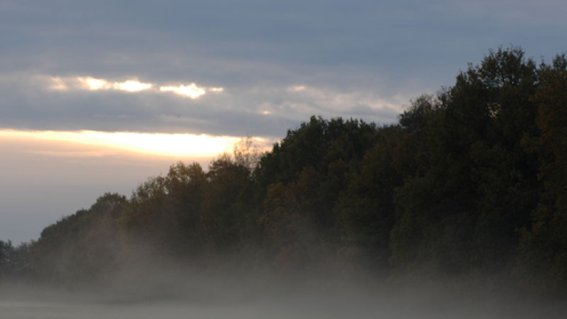 Natuurgebied Wortel Kolonie