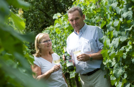 Ambachtelijke wijnmakerij