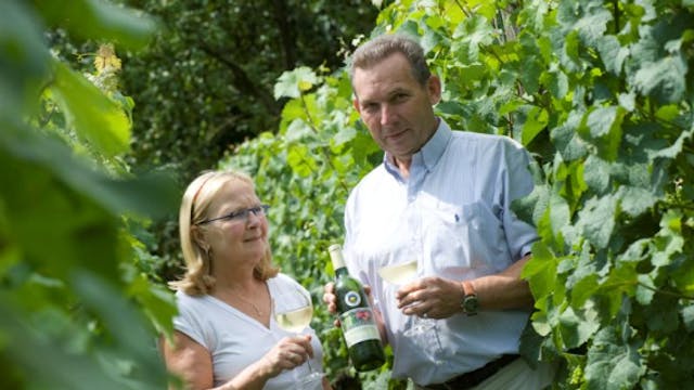 Ambachtelijke wijnmakerij