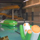 Subtropisch Zwembad Eurohal