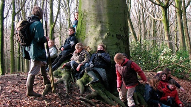 Drongengoedbos