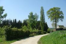 Boomgaardenwandelpad