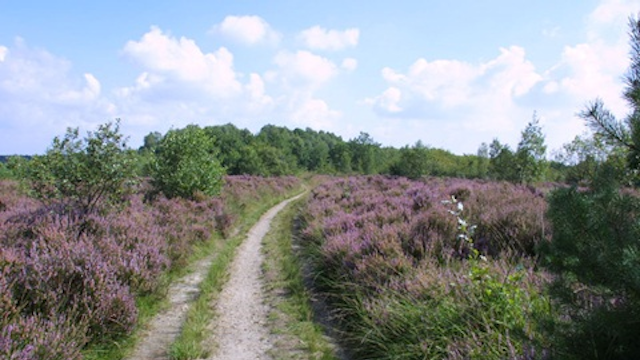 Toegangspoort Pietersheim