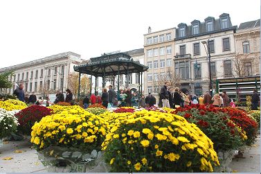 Dagelijkse bloemenmarkt - Gent
