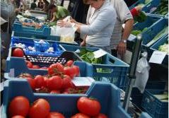 Boerenmarkt - Antwerpsesteenweg