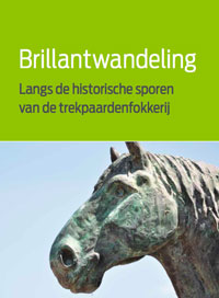 Brillantwandeling