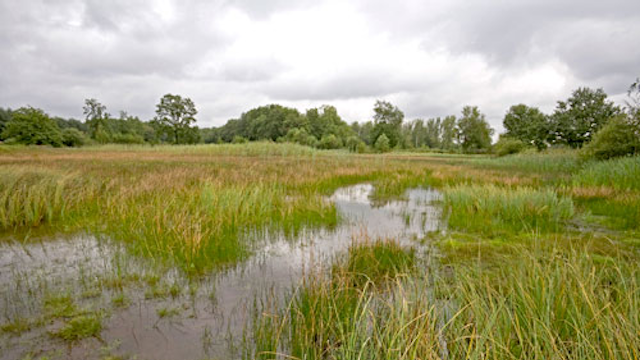 Vijvercomplex De Wijers