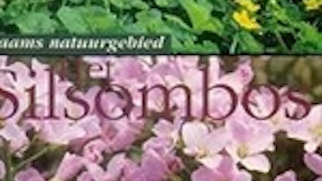 Natuurgebied Silsombos