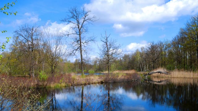 BC Landschap De Liereman