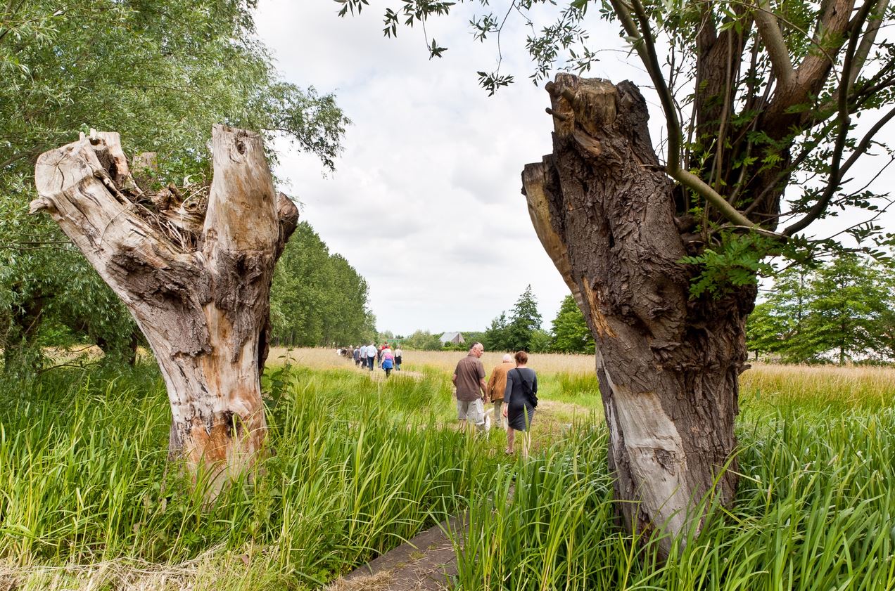 Wandelen in de Gentbrugse Meersen - Blotevoetenpad