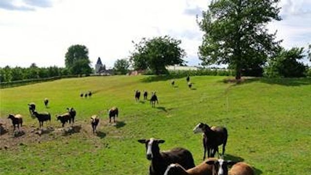 Fruitvalleiwandeling Sint-Truiden