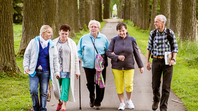 Wandeltochten met de lokale dienstencentra