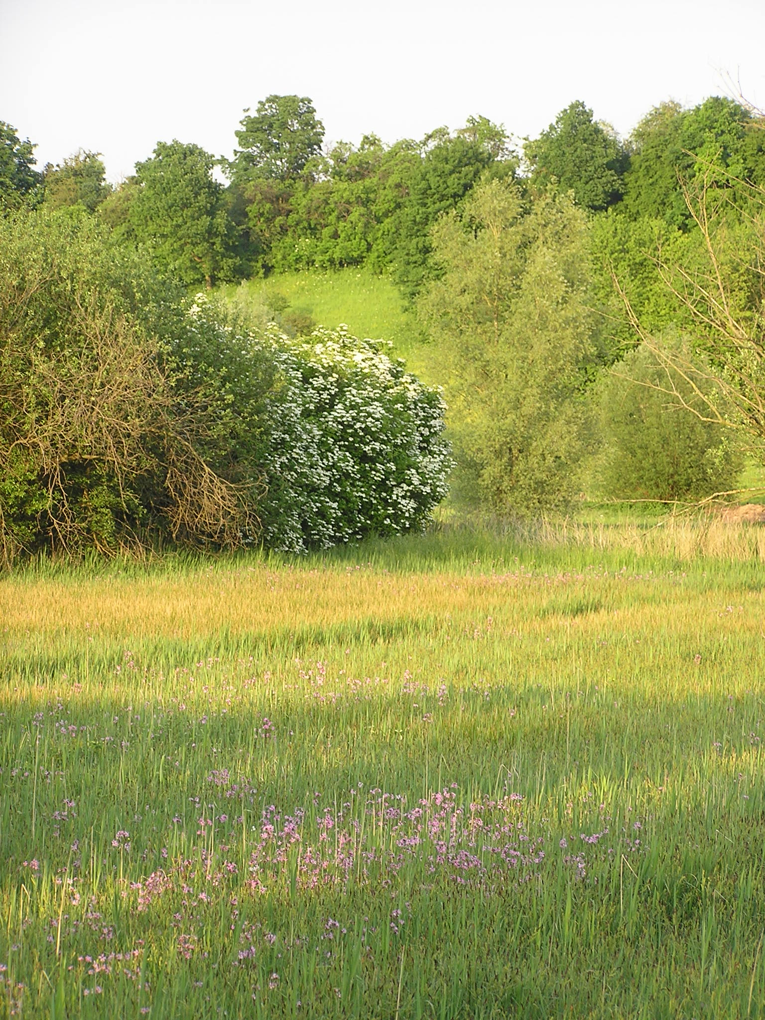 Wandelgebied Gelmen/Gelinden