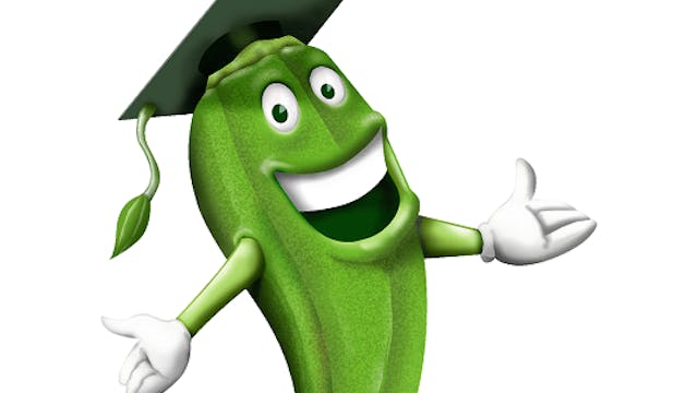 Ambachtenwandeling in Gent