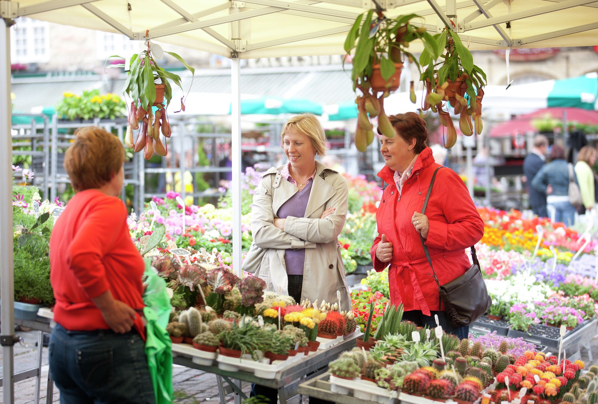 Wekelijkse bloemenmarkt