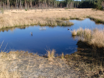Cultuurhistorische wandeling