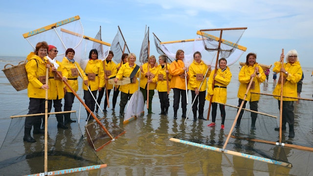 Demonstratie van de vrouwelijke kruwers De Stienesteekers