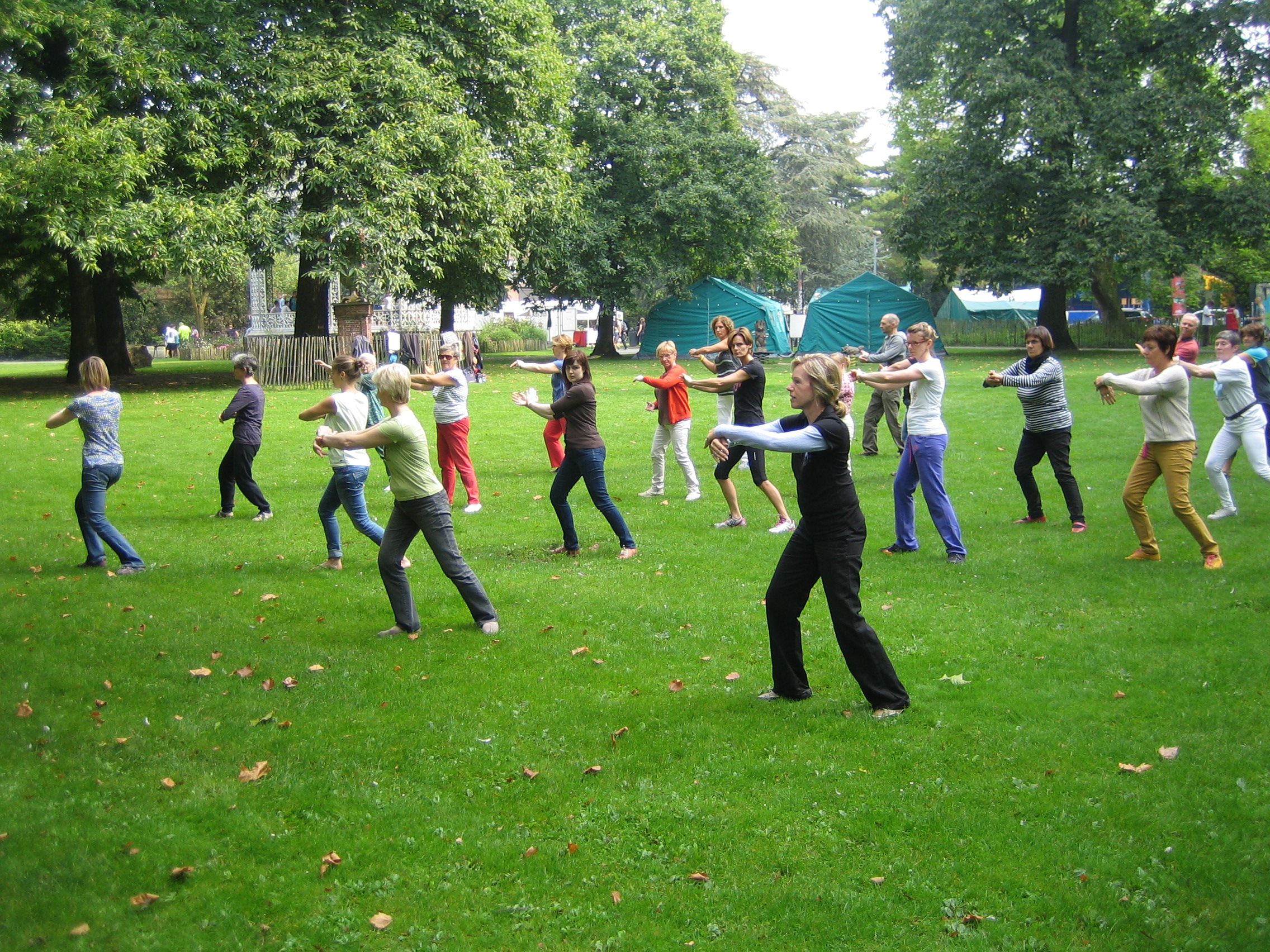 tai chi in het park