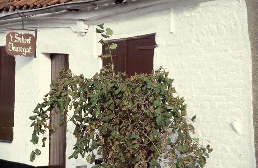 'O, dorp, waar ik geboren ben'