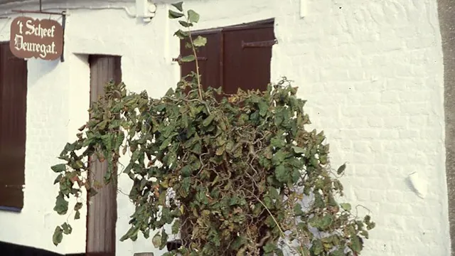 'O, dorp, waar ik geboren ben'