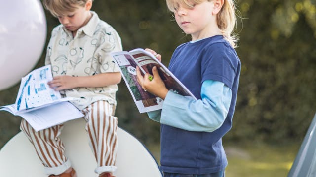 Schatten van Vlieg bij MDD