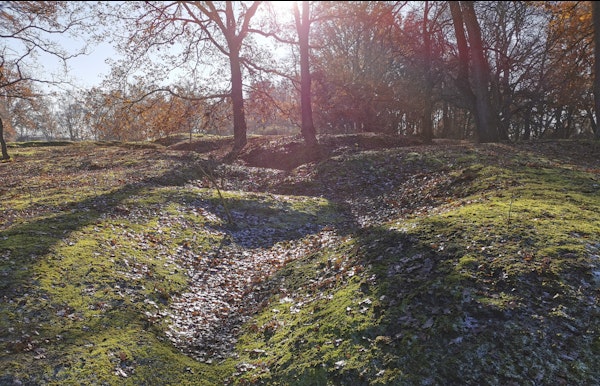De Cabourduinen net voor het donker