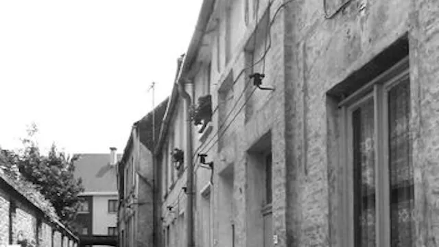 Beluik Vrijheidsplein