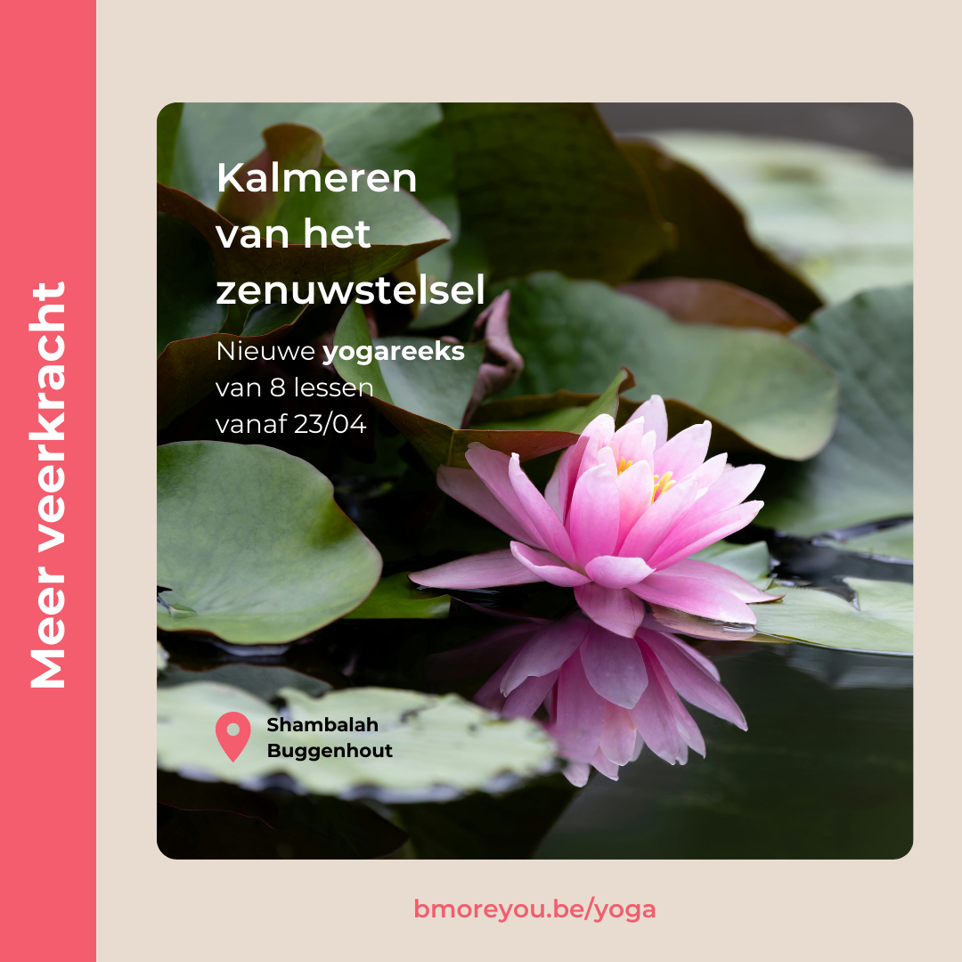 Yoga: kalmeren van het zenuwstelsel