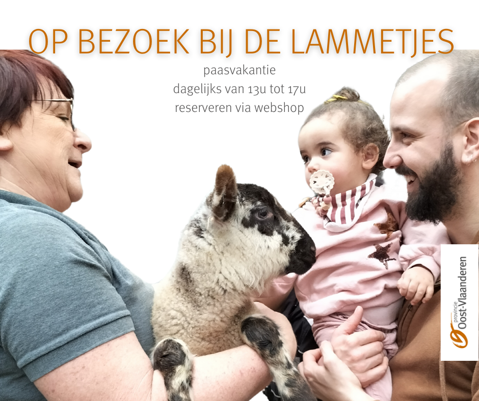 2026 Op bezoek bij de lammetjes