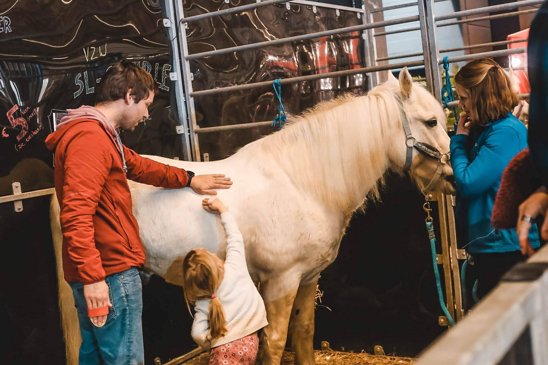 Kleine ruiters, groot plezier! 