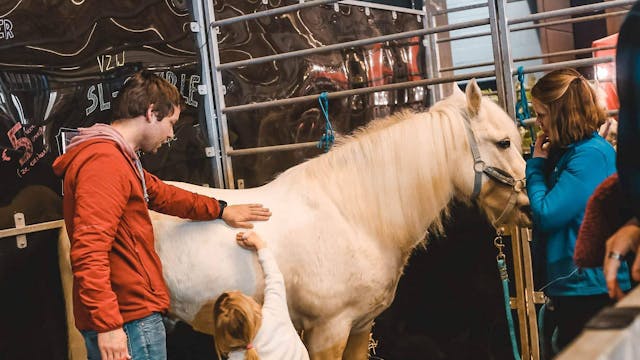 Kleine ruiters, groot plezier!