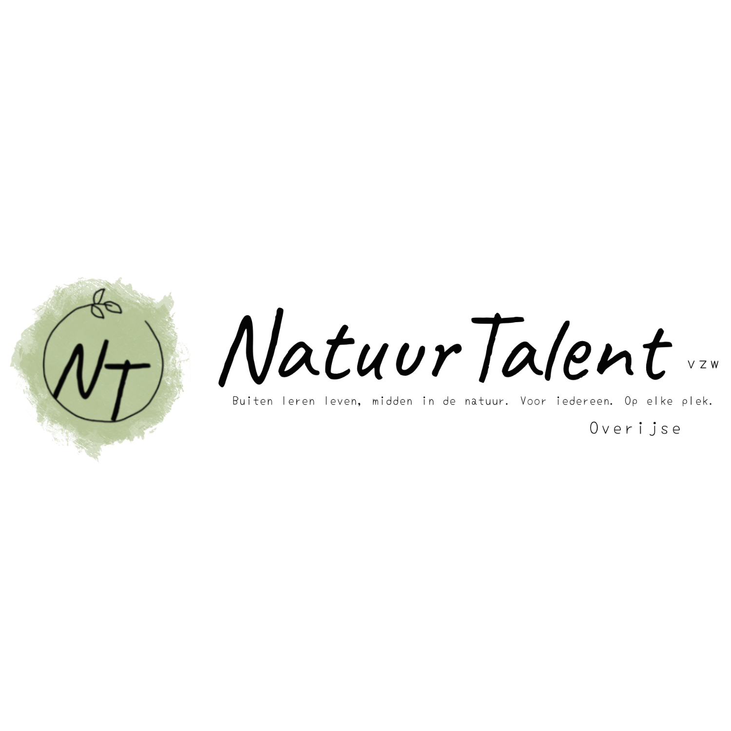logo NT