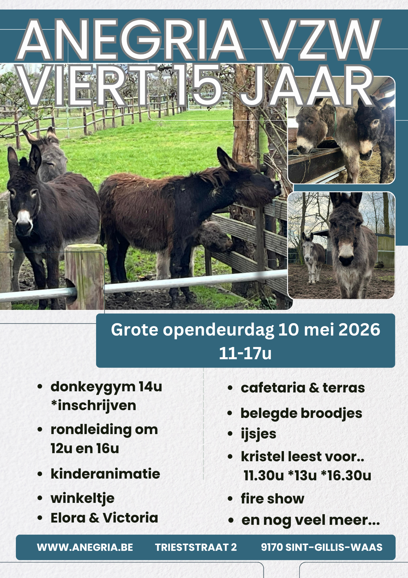 anegria vzw viert 15 jaar