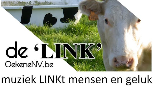 Muziek LINKt mensen en geluk