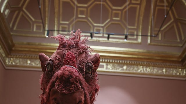 De Tien van Christophe Coppens - familieparcours