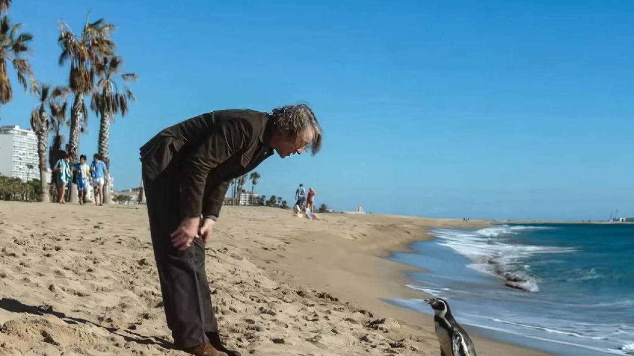 the penguin lessons_cr.jpg