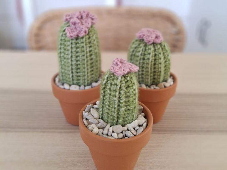 cactus3