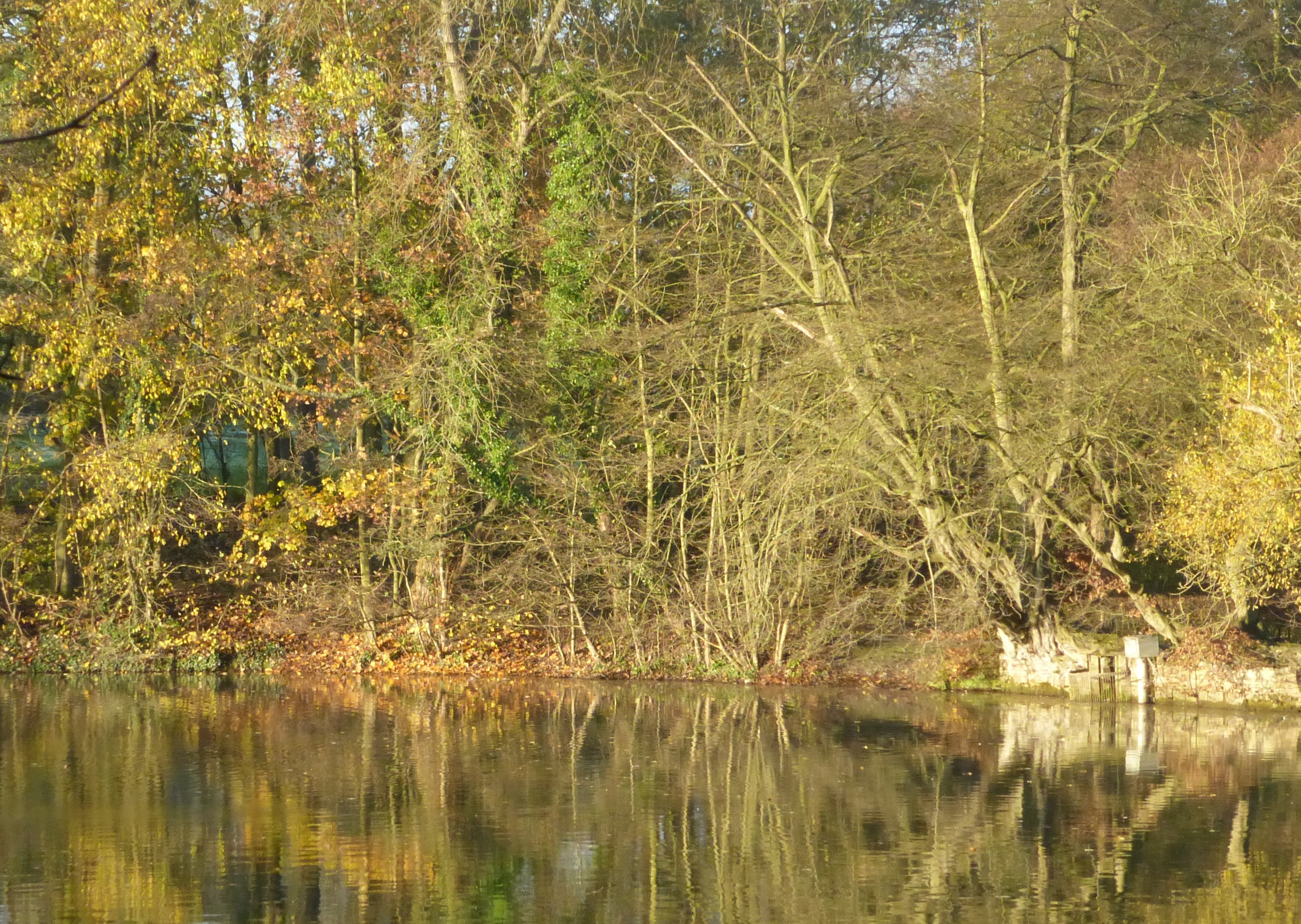 Balade aux Etangs des Enfants Noyés