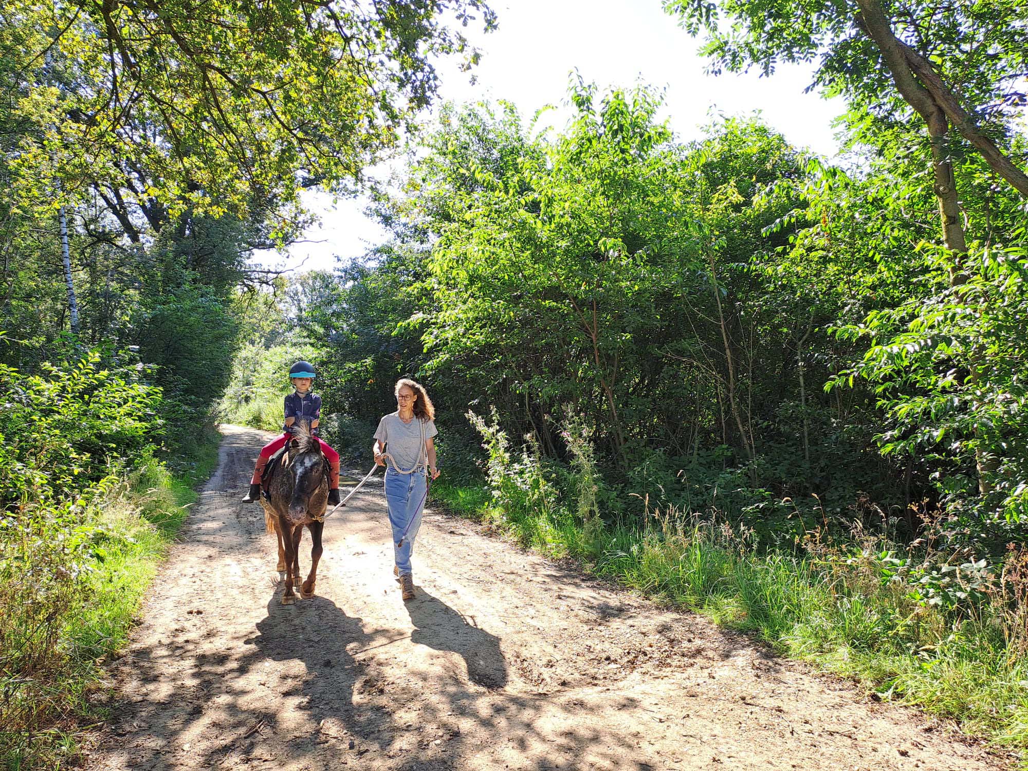 natuurlijk paardrijden