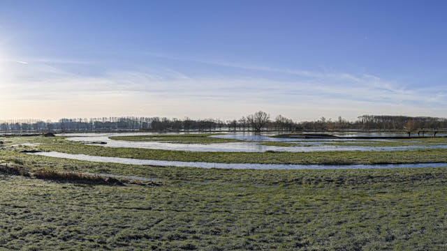 Assebroekse Meersen