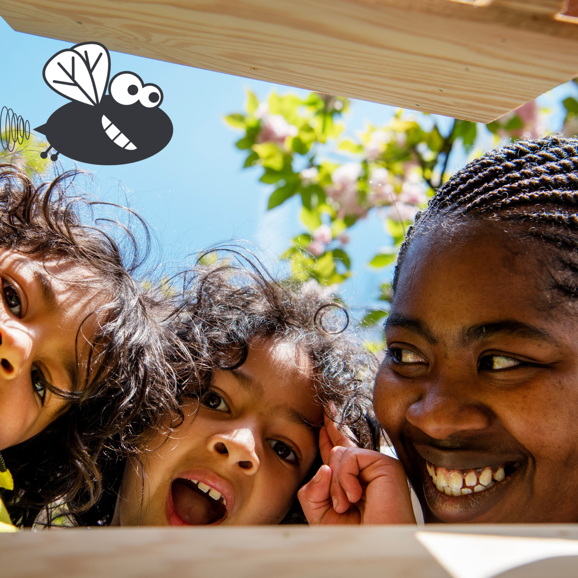 Schatten van Vlieg - zomercluedo