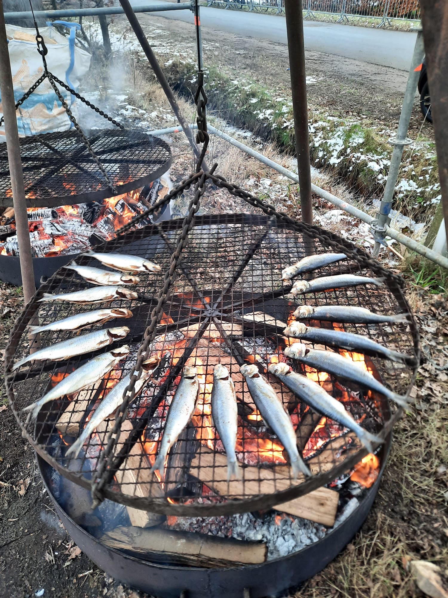 Heerlijke haringen op 't vuur