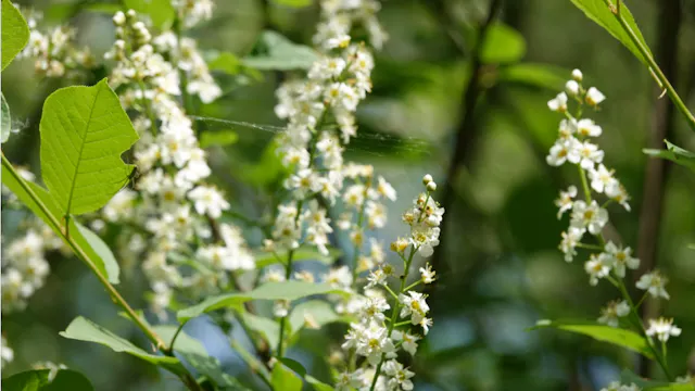 Natuurpunt
