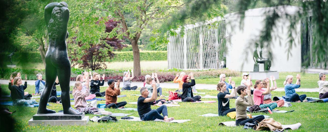 yoga — de kunst van verstilling bij ochtendlicht en avondzon