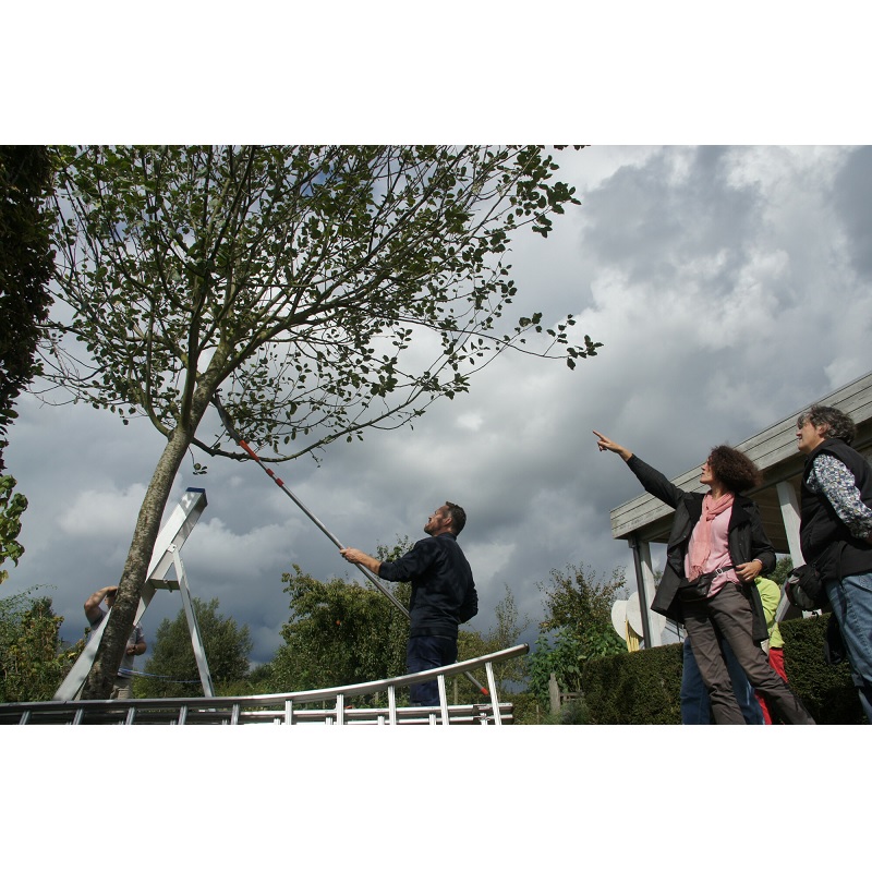 TEELT FRUITBOMEN PRAKTIJK